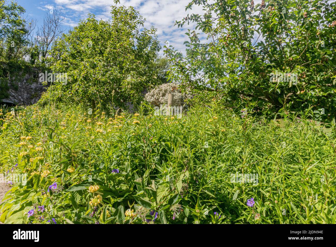 Il giardino murato a Dunraven Park, Southerndown. Si prega di credito: Phillip Roberts Foto Stock