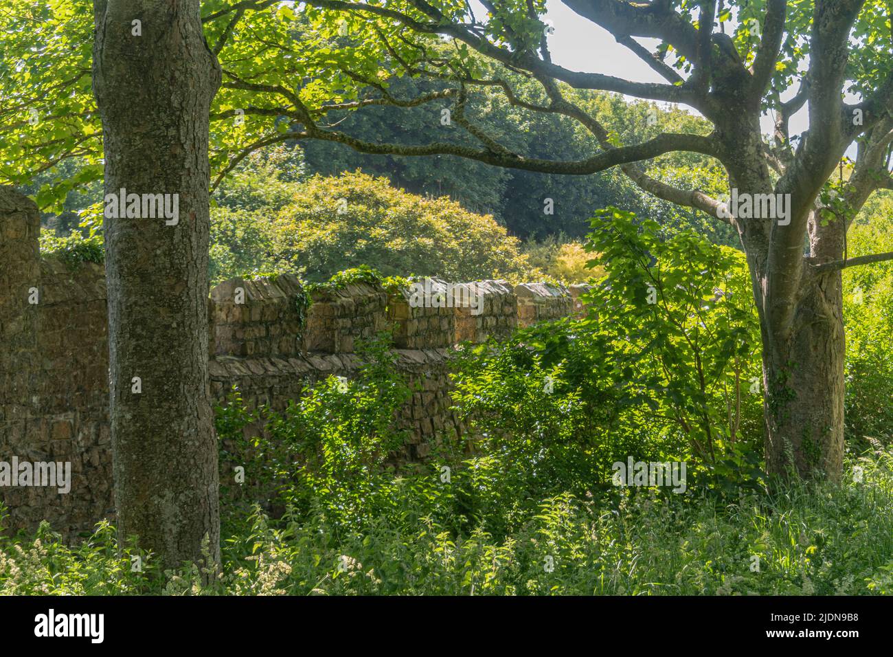 Il giardino murato a Dunraven Park, Southerndown. Si prega di credito: Phillip Roberts Foto Stock