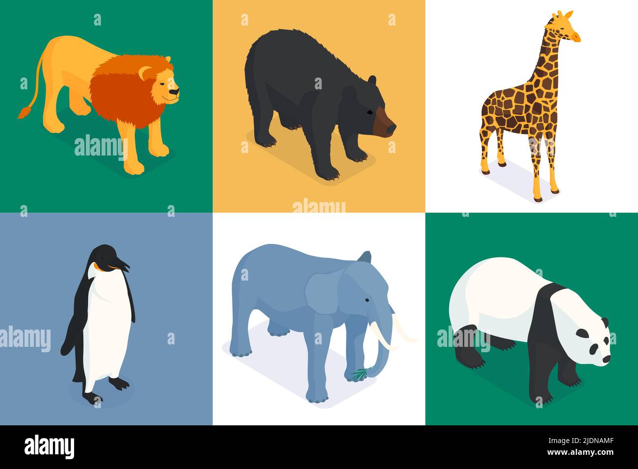 Concetto di design isometrico dello zoo con set di composizioni quadrate di animali esotici su disegno vettoriale a sfondo solido colorato Illustrazione Vettoriale