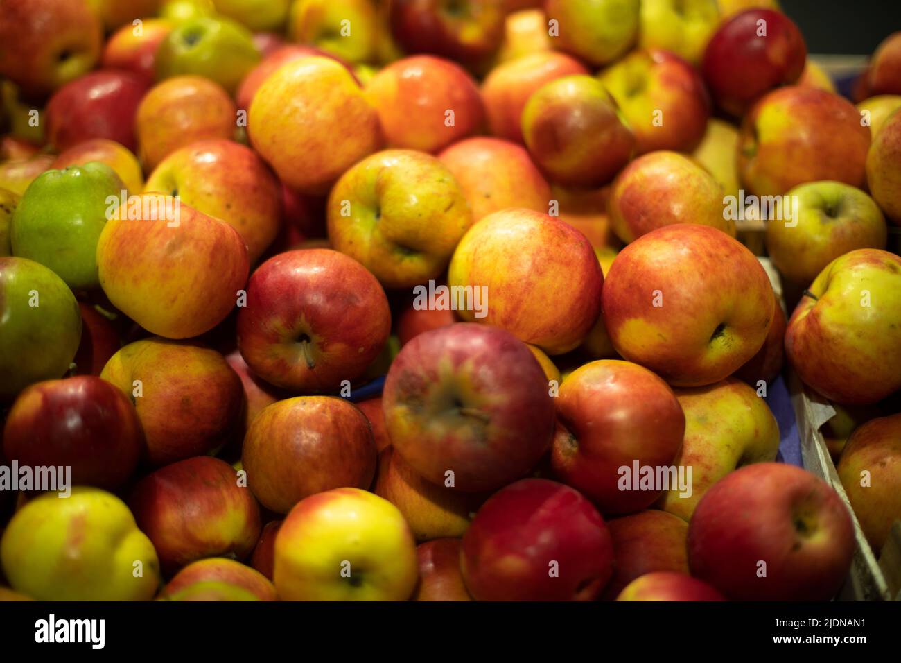 Mele in deposito. Un sacco di mele nel cassetto. Frutta fresca. Vitamine estive. Foto Stock