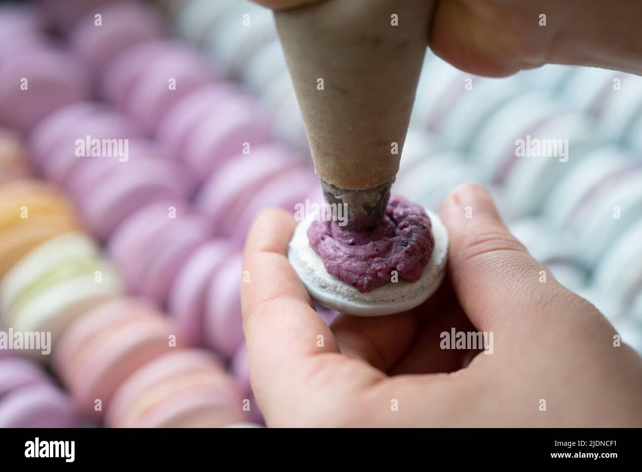 Dresda, Germania. 22nd giugno 2022. La meringa francese Macaron è riempita in una panetteria con un sacchetto di tubature. Credit: Sebastian Kahnert/dpa/Alamy Live News Foto Stock