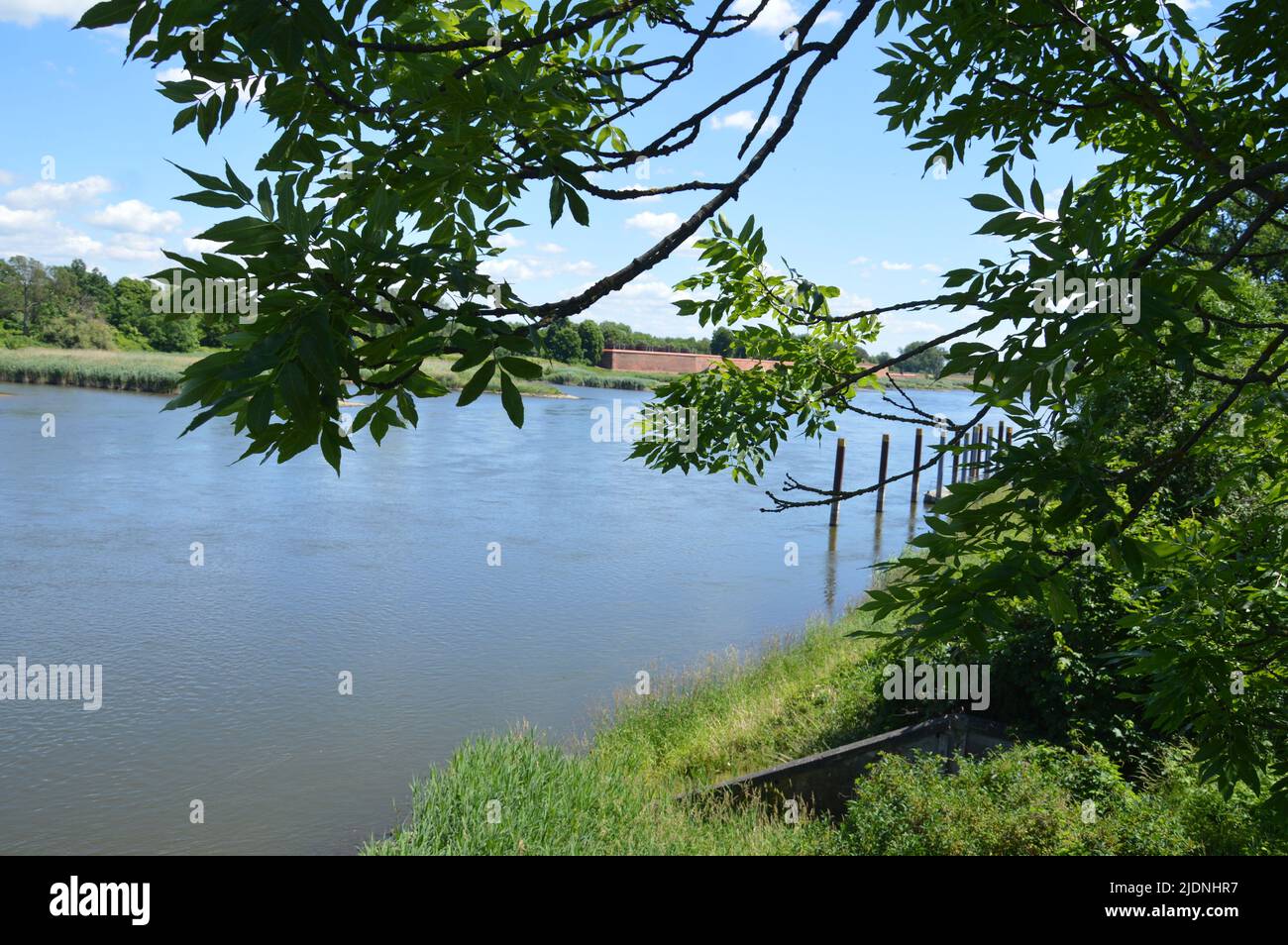 Brandeburgo, Germania - 10 giugno 2022 - sul fiume Oder. (Foto di Markku Rainer Peltonen) Foto Stock