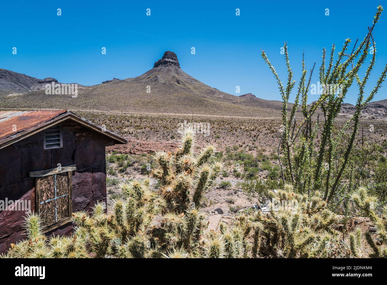 Vista dal distributore di benzina Cool Springs sulla Route 66 attraverso il deserto di Mojave Foto Stock