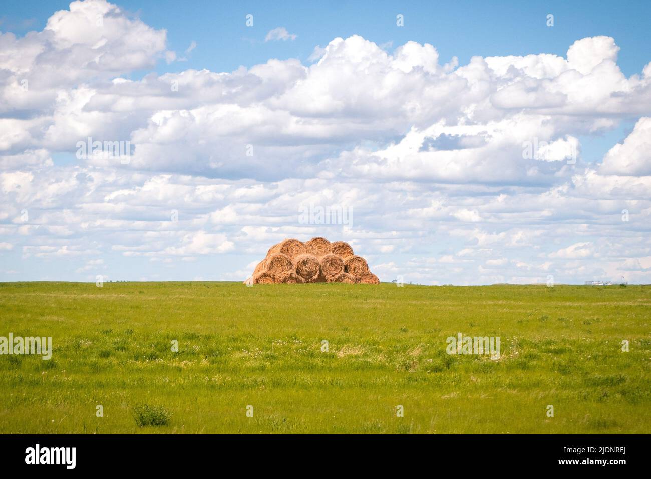 Balle di fieno in campagna Foto Stock