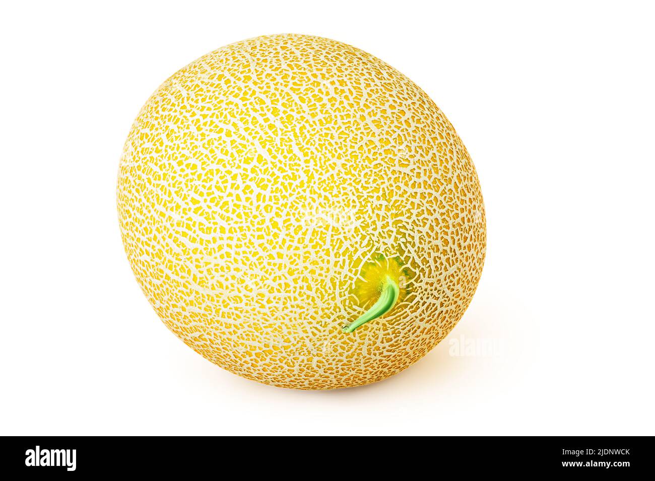 Isolato melone giallo colorato su uno sfondo bianco. Frutta succosa e sana. Biocibo naturale per migliorare la digestione e la funzione renale. Foto Stock