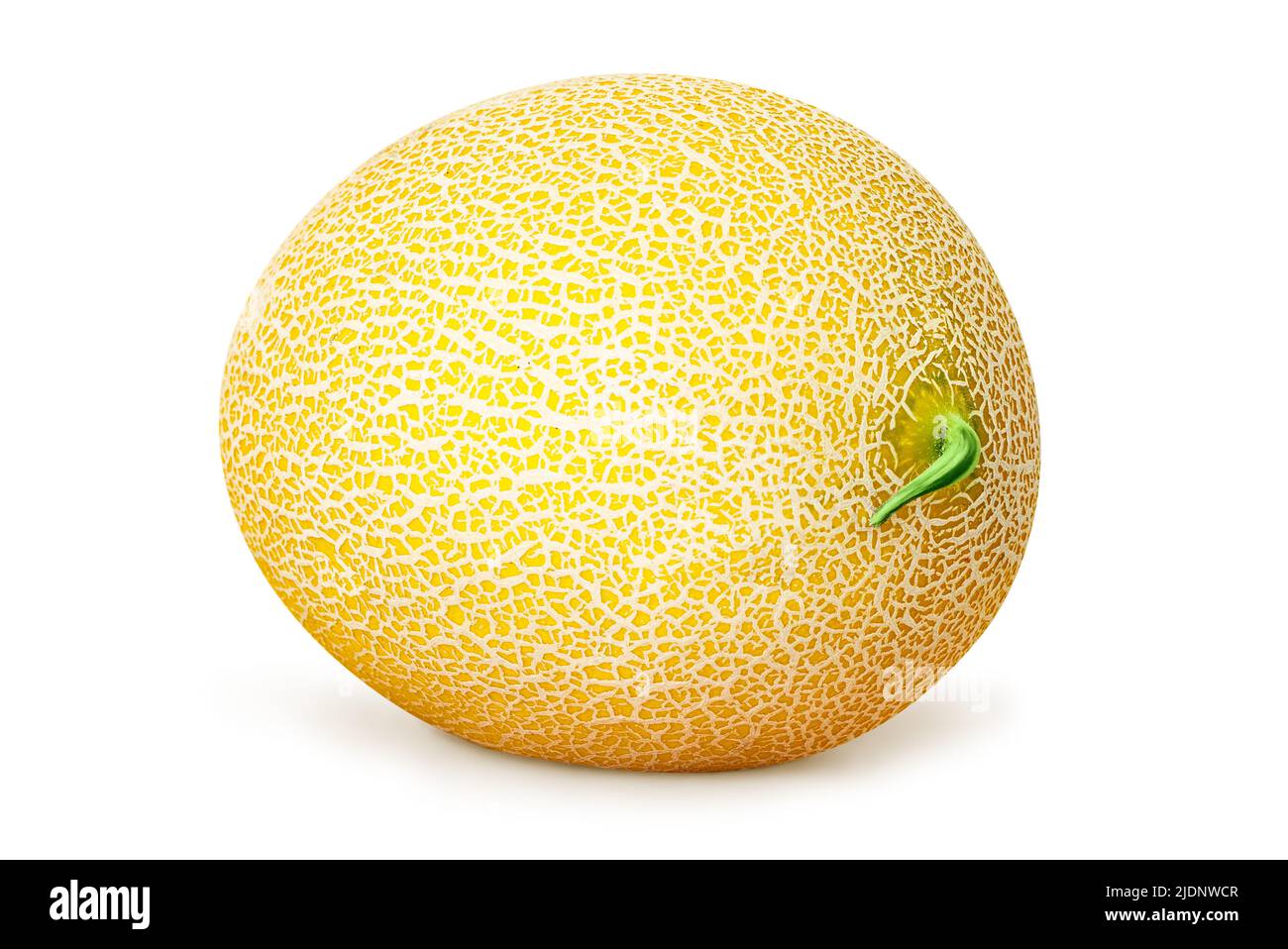 Isolato melone giallo colorato su uno sfondo bianco. Frutta succosa e sana. Biocibo naturale per migliorare la digestione e la funzione renale. Foto Stock