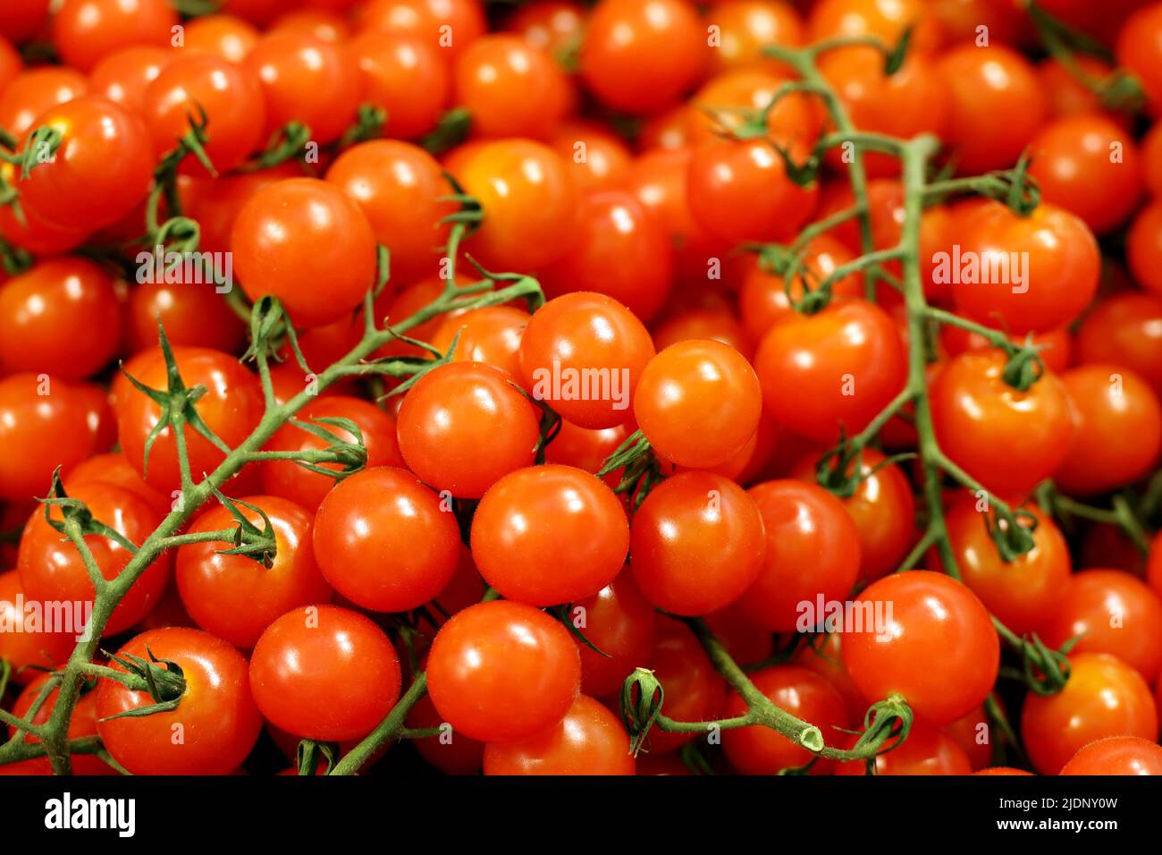 Pomodori ciliegini rossi su rametti verdi, verdure fresche nel mercato Foto Stock