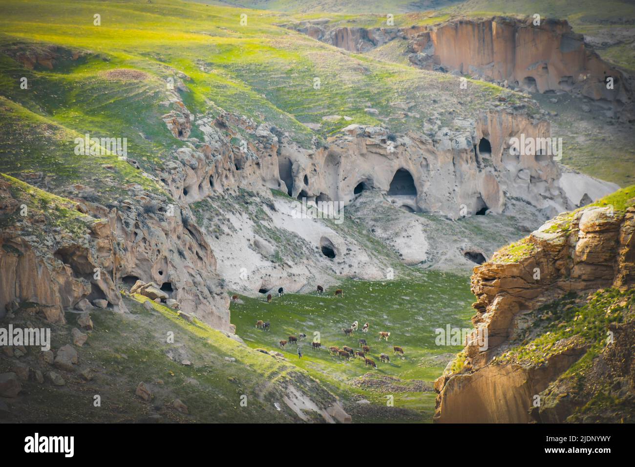 Città cave in Armenia da Ani rovine, anatolia orientale, Turkiye Foto Stock