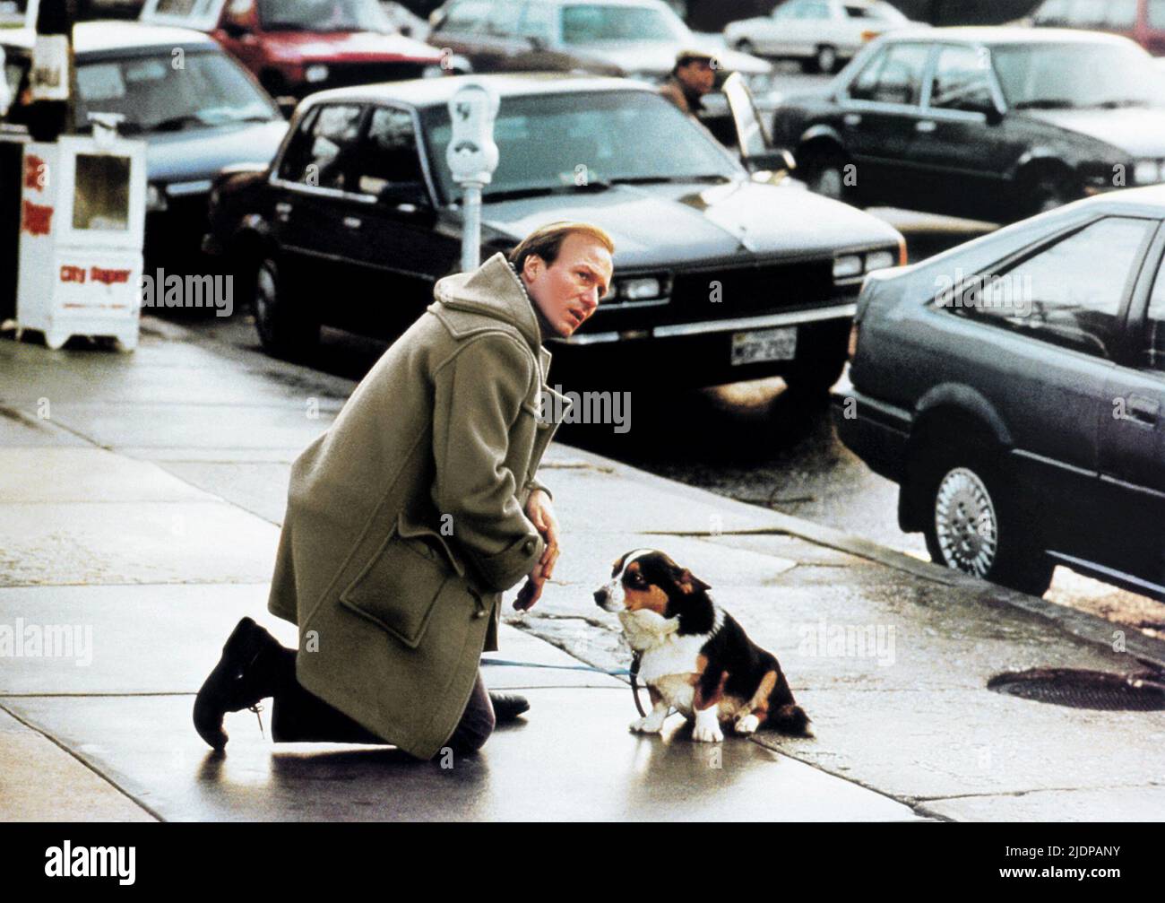 Male,cane, il turista accidentale, 1988 Foto Stock