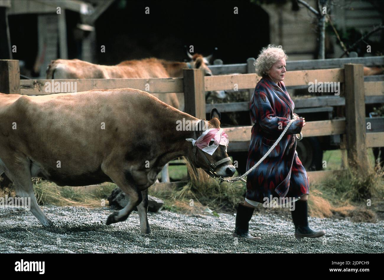 BETTY WHITE, Lake Placid, 1999 Foto Stock