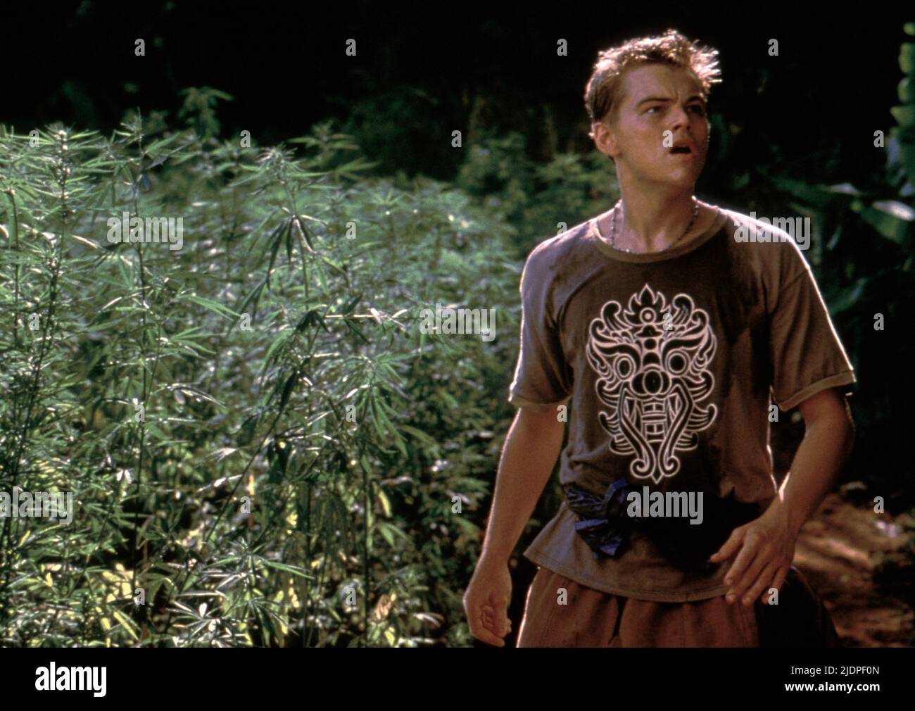 LEONARDO DICAPRIO, spiaggia, 2000 Foto Stock