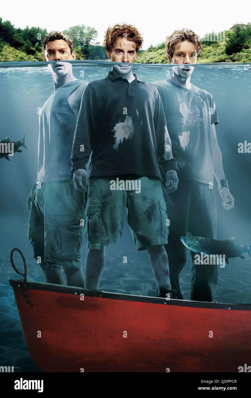 LILLARD,verde,SHEPARD, senza un dispositivo di compressione, 2004 Foto Stock