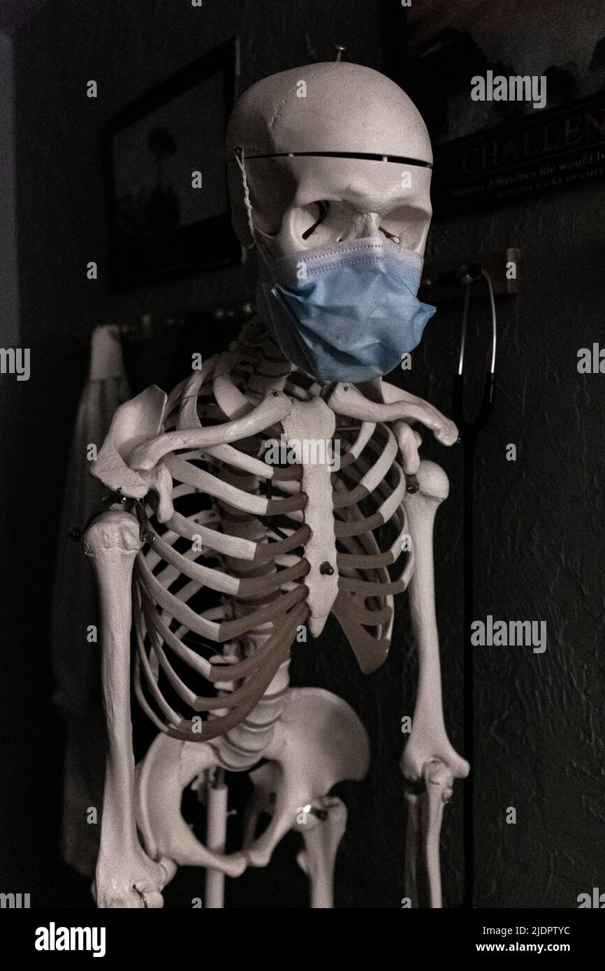 cranio/scheletro con maschera medica su Foto Stock