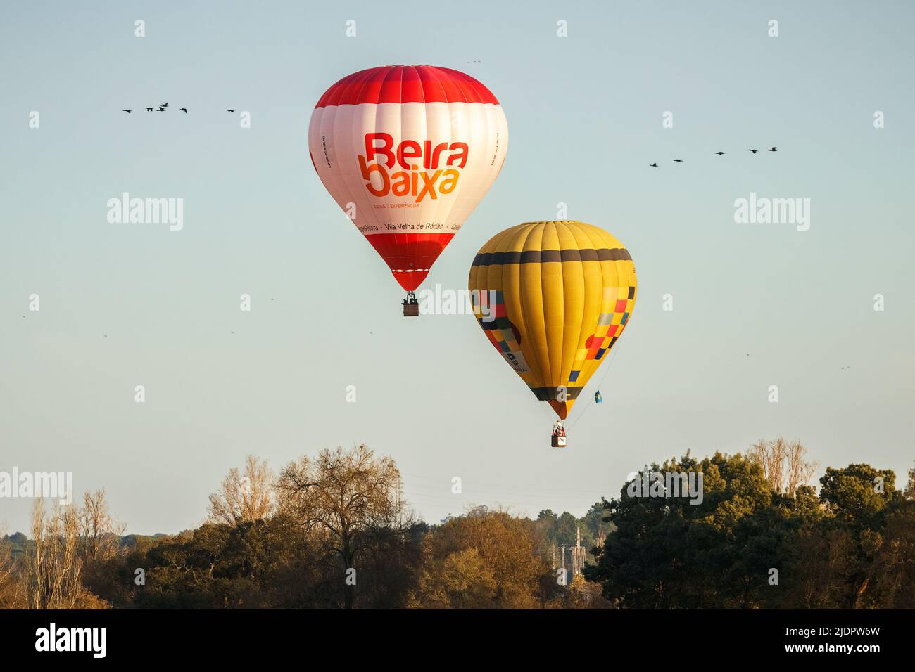 Coruche, Portogallo - 13 novembre 2021: Due palloncini ad aria calda che volano sugli alberi con un gruppo di uccelli su entrambi i lati dei palloncini a Coruche, Portuga Foto Stock