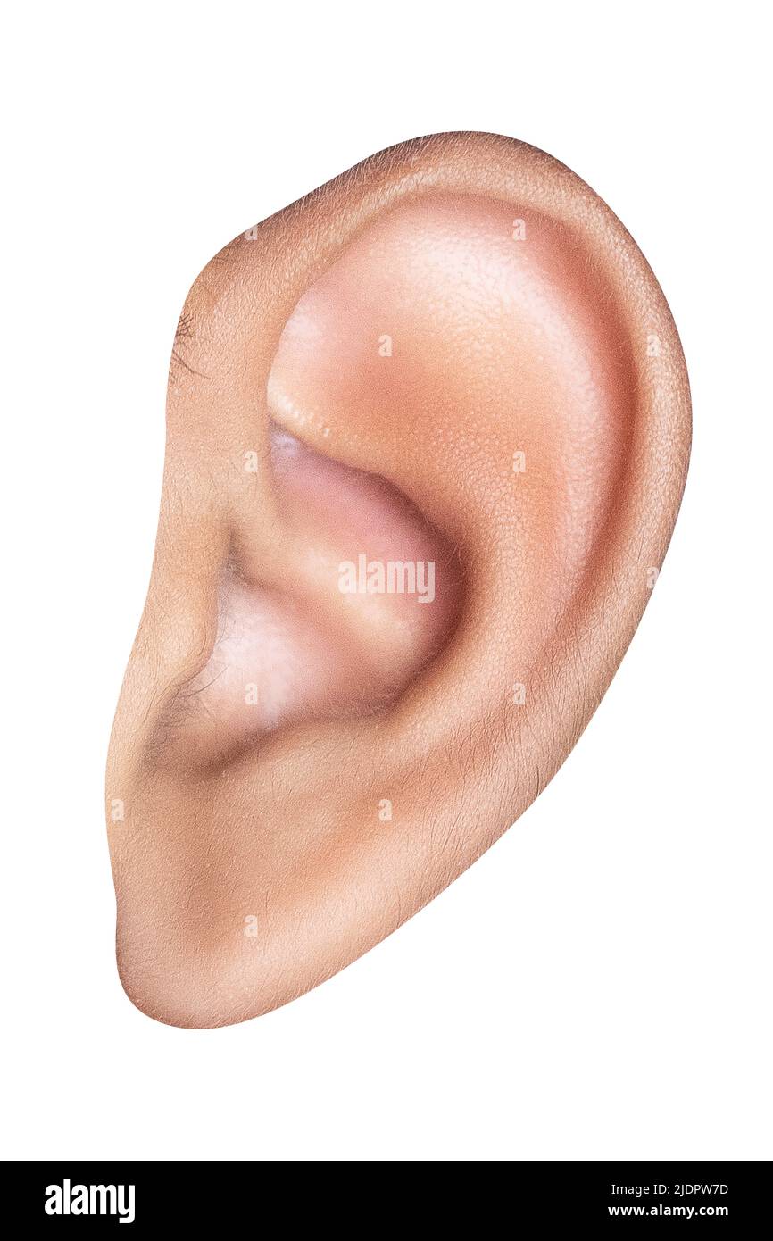 Immagine closeup luminosa di un orecchio maschio Foto Stock