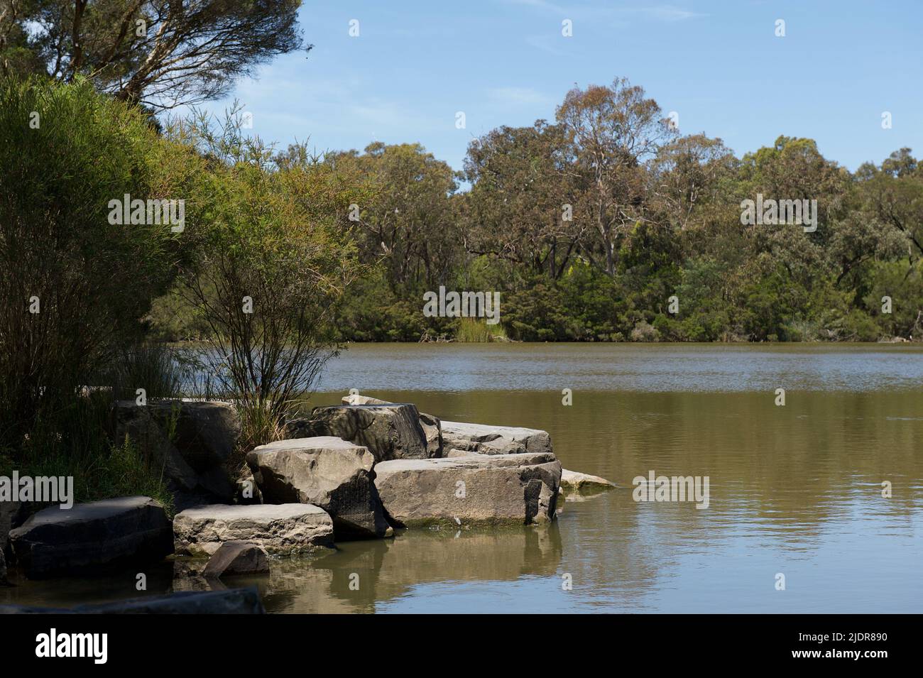 Con viste come questa, la Blackburn Lake Reserve è un'attrazione popolare nei sobborghi orientali di Melbourne in Victoria, Australia. Foto Stock