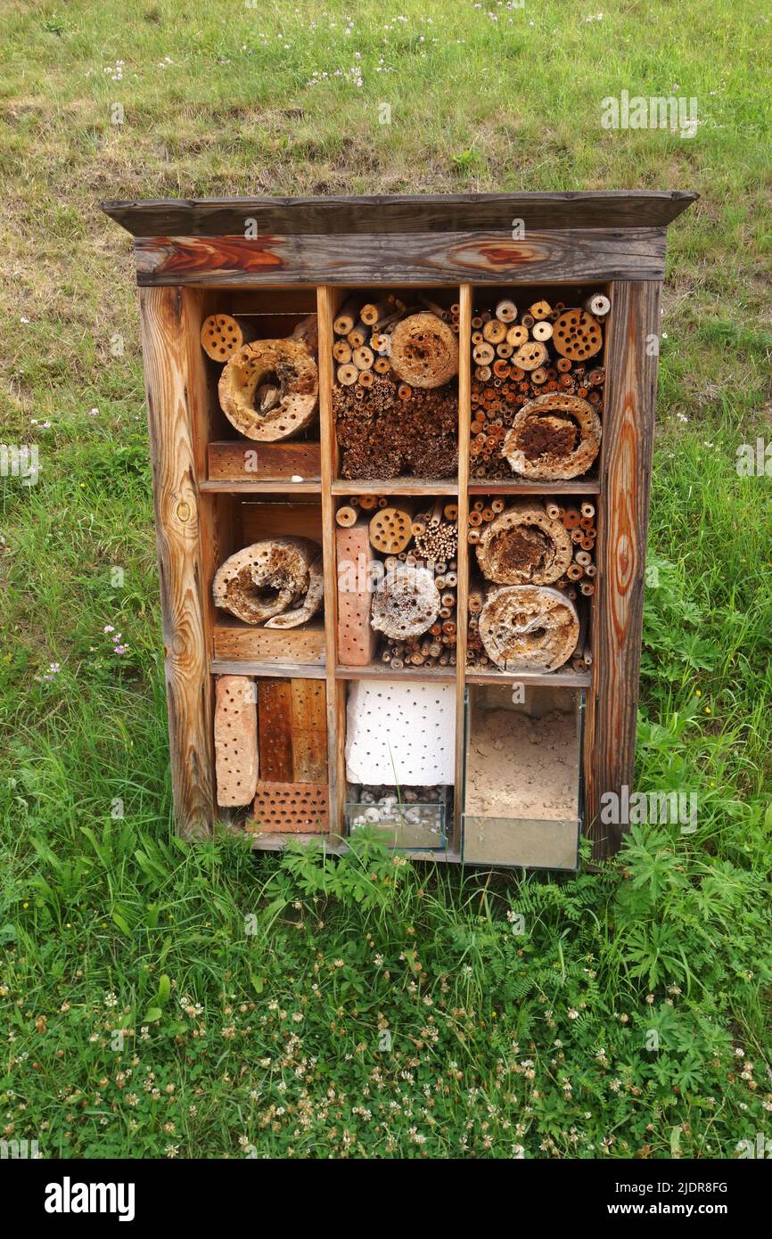 Un hotel per insetti, conosciuto anche come un hotel per insetti o una casa per insetti, è una struttura creata per fornire rifugio agli insetti e preservare la biodiversità Foto Stock