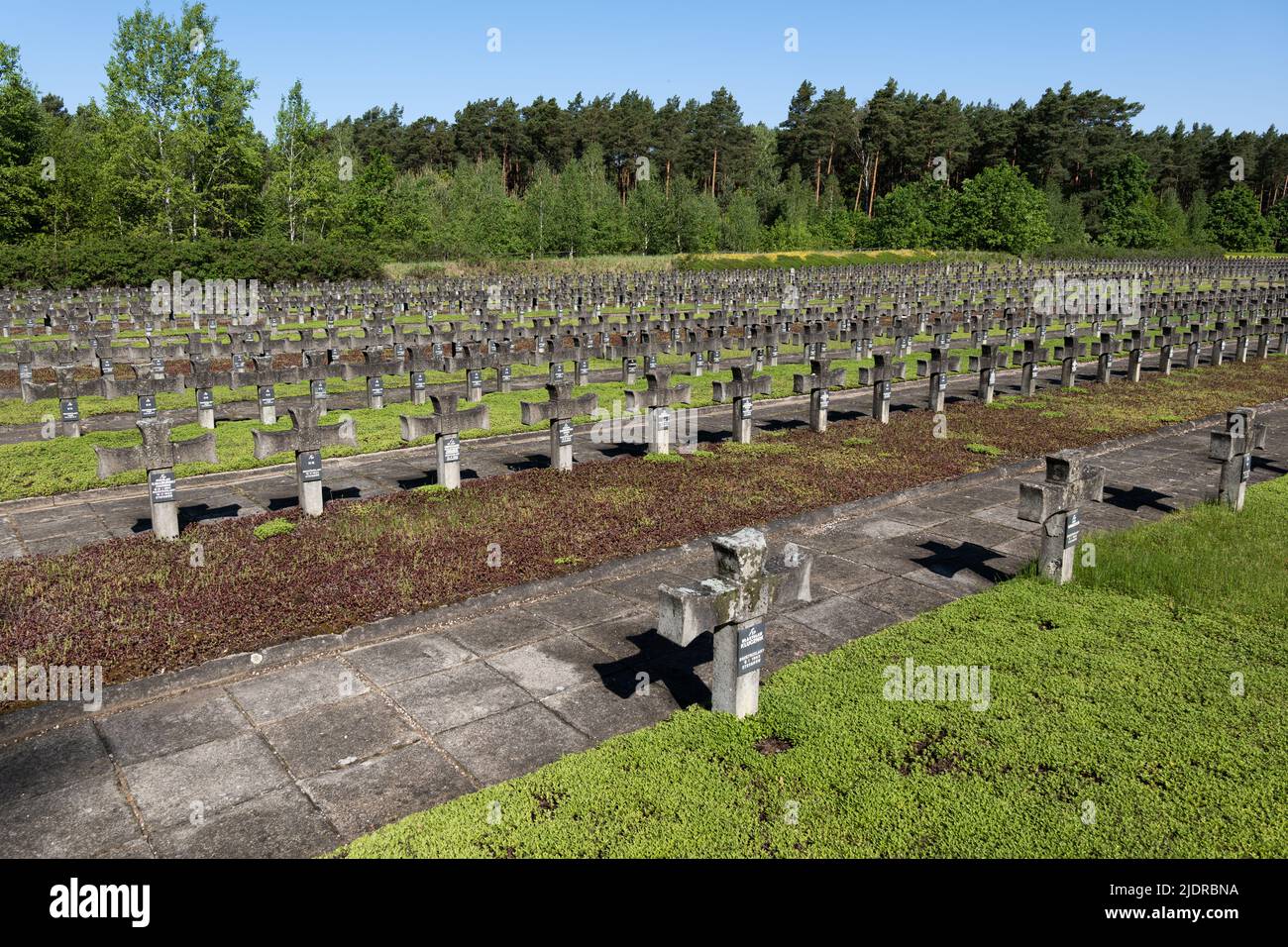 Foresta di Kampinos, Polonia - 26 maggio 2022: Cimitero di guerra Palmiry, luogo di esecuzione e sepoltura di oltre 2 mila polacchi, vittime del terro nazista tedesco Foto Stock