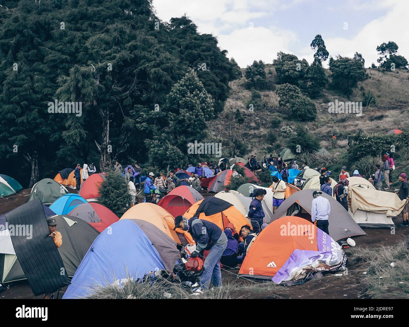 Area del campo al Monte Prau, Wonosobo Foto Stock