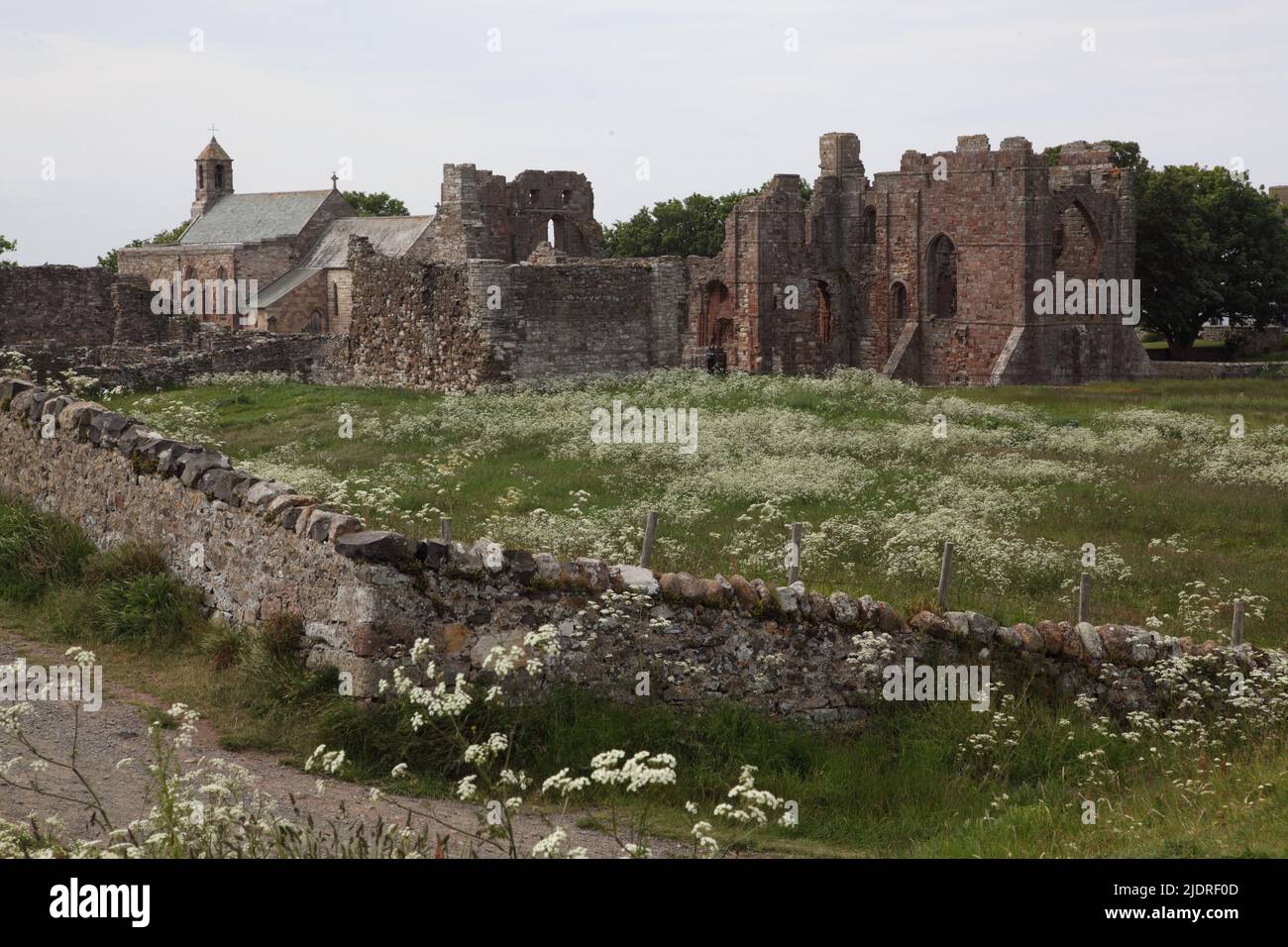 Priorato di Lindisfarne, fondato dal monaco irlandese St.Aidan nel 635 d.C., dal Heugh sull'Isola Santa, Northumberland. Foto Stock