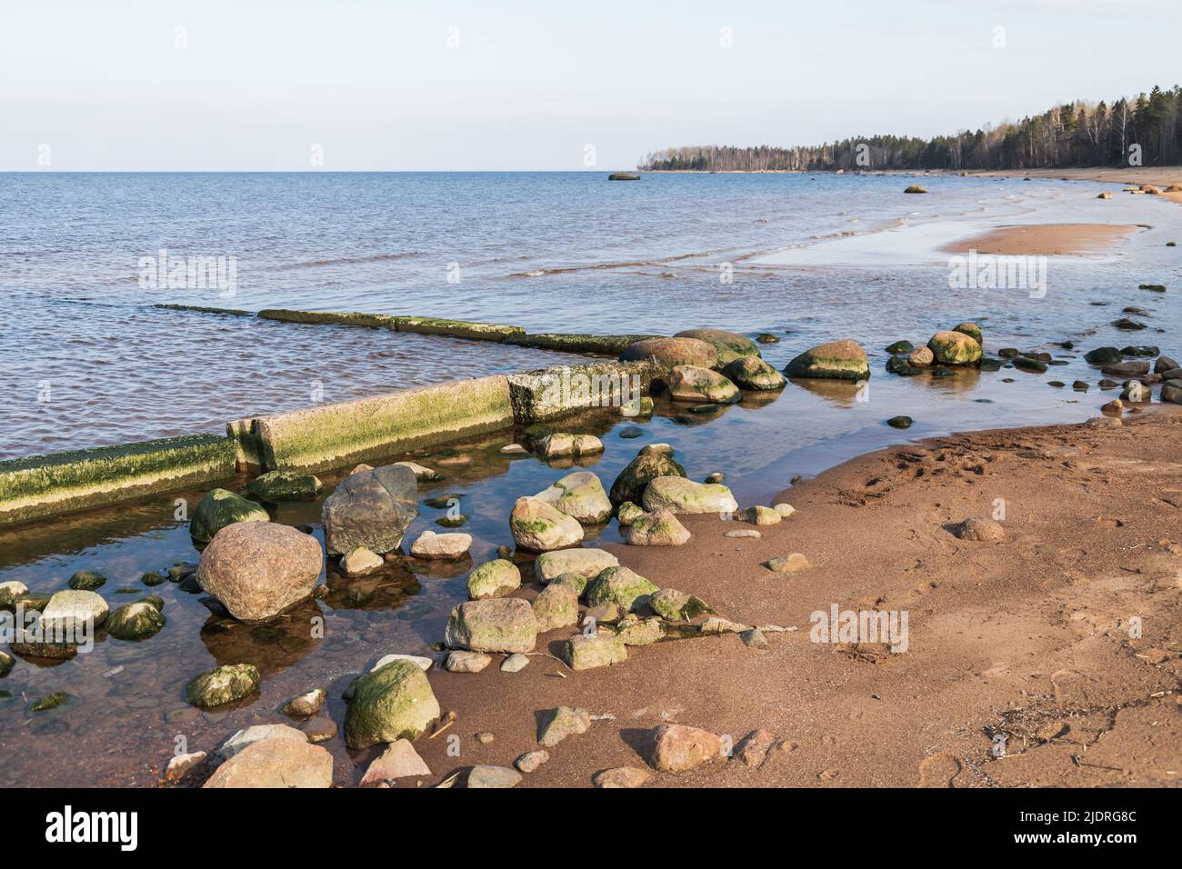 Paesaggio del Mar Baltico. Il molo in calcestruzzo rotto coperto di alghe marine si trova in un'acqua poco profonda sulla costa del Golfo di Finlandia Foto Stock
