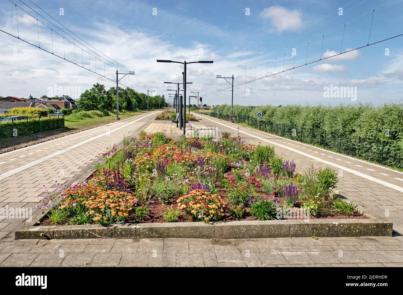 Hillegom, Paesi Bassi, 21 giugno 2022: Letto colorato fiore alla stazione ferroviaria locale nel cuore della regione dei bulbi di fiori Foto Stock