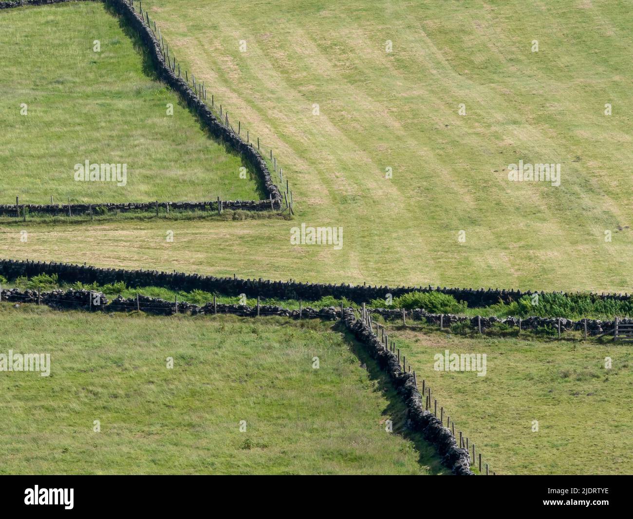 Vista di campi di pascolo delimitati da tradizionali pareti di pietra a secco a Haworth, West Yorkshire, Regno Unito Foto Stock