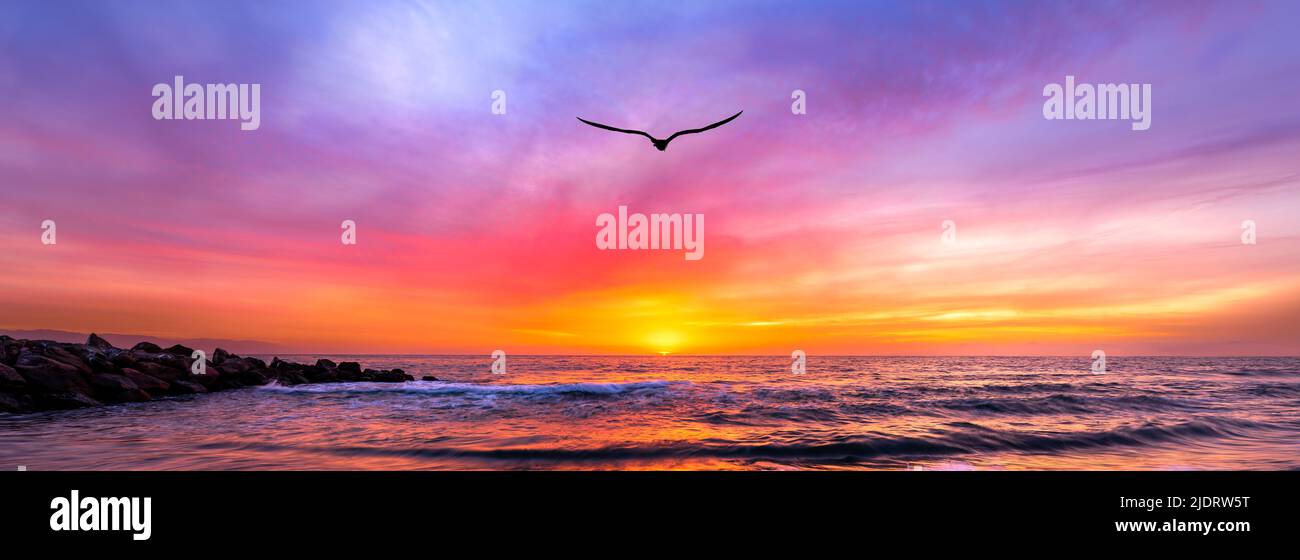 Paesaggio dell'oceano Tramonto con un uccello che volava verso Un colorato cielo romantico in Un'immagine ad alta risoluzione in formato banner Foto Stock