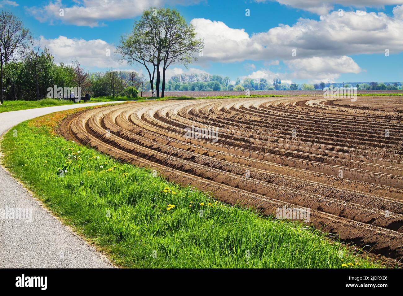 Bel paesaggio rurale olandese fattoria, terreno arato appena arato, falò arabile ricurvo simmetrico, pista ciclabile vuoto - Olanda vicino a Roe Foto Stock