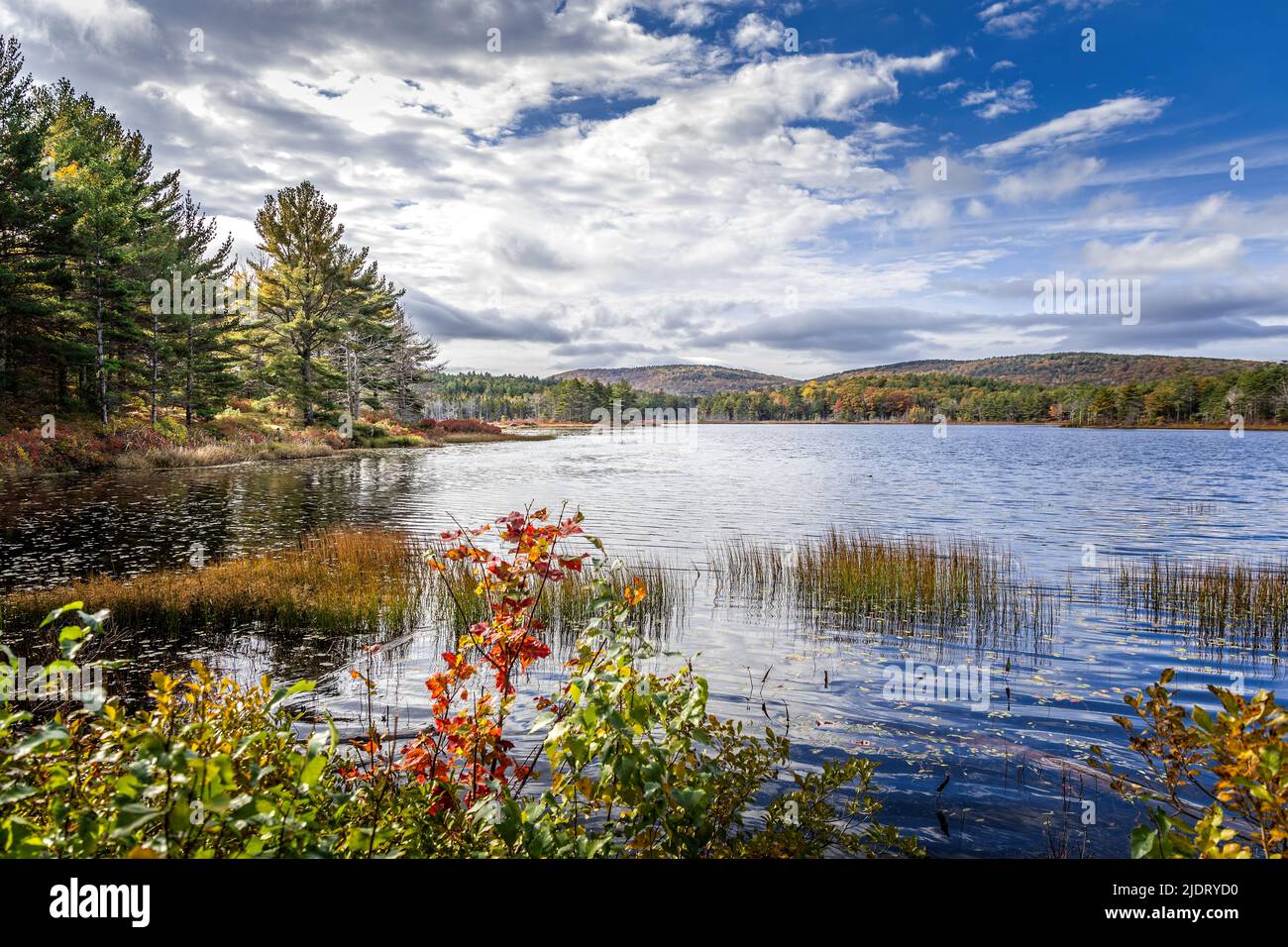 Lo stagno del foro della strega nel parco nazionale di Acadia, Maine Foto Stock