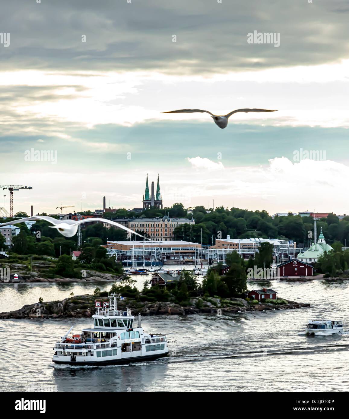 Vista sul porto meridionale di Helsinki, Finlandia, in una serata estiva. Traghetti in primo piano. Sullo sfondo, il quartiere di Ullanlinna. Foto Stock
