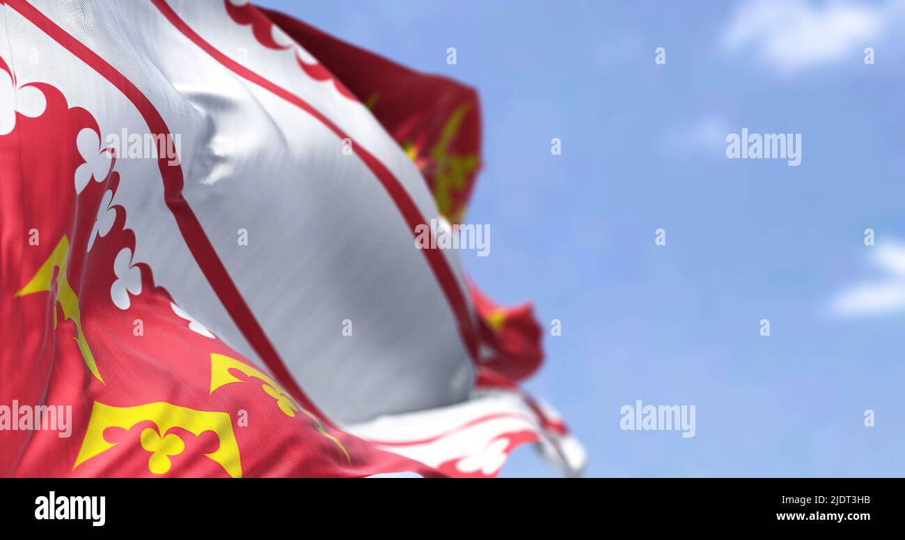 Vista posteriore della bandiera alsaziana che sventola nel vento in una giornata limpida. L'Alsazia è una regione culturale e una collettività territoriale nella Francia orientale. Foto Stock
