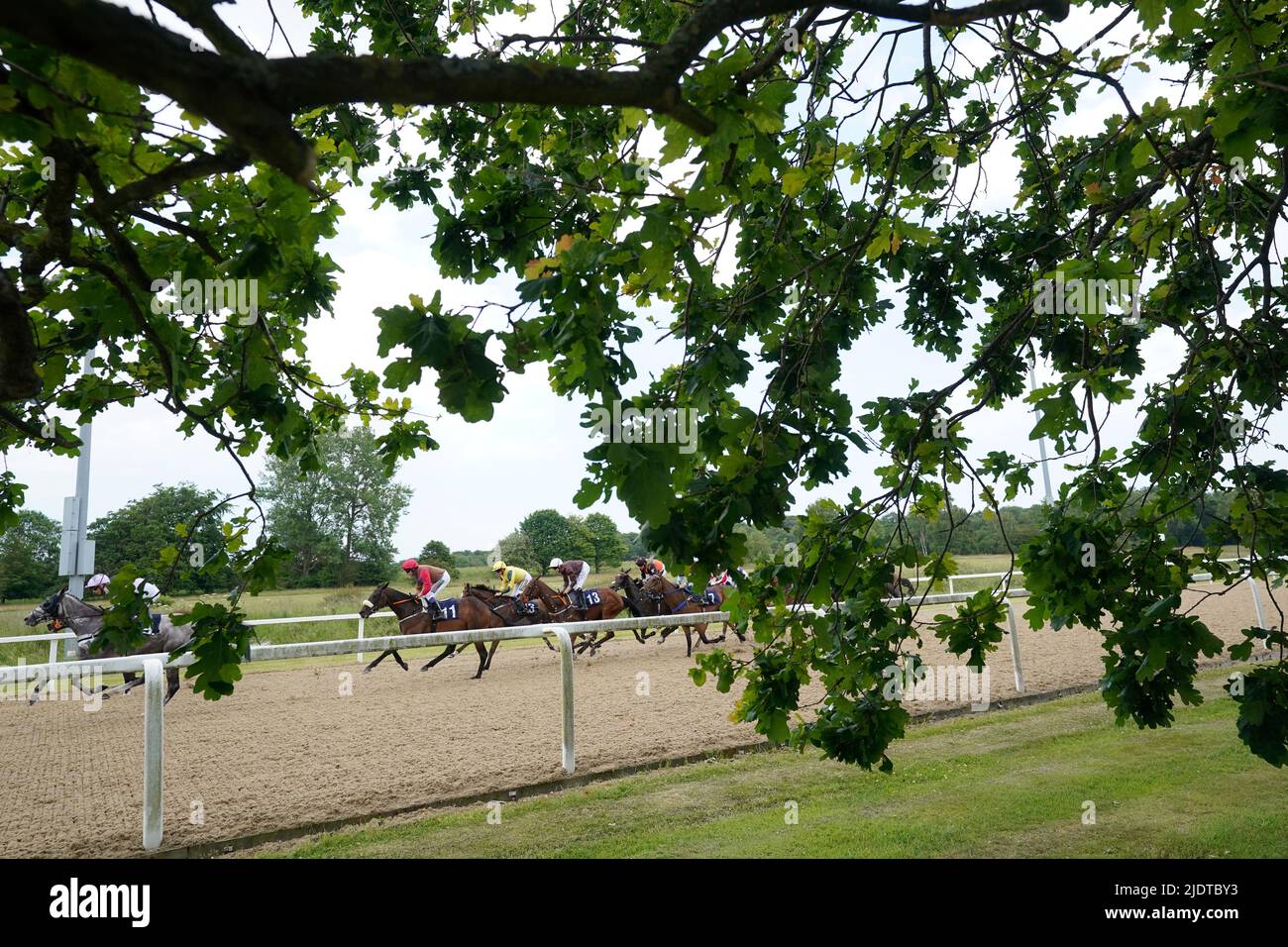 Corridori e cavalieri in azione nella rete di formazione di Pertemps handicap durante il giorno uno del Northumberland Plate Festival a Newcastle Racecourse. Data foto: Giovedì 23 giugno 2022. Foto Stock