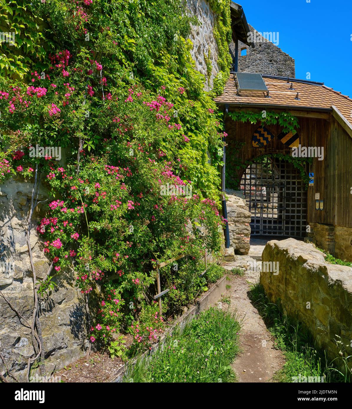 Zona d'ingresso delle rovine medievali del castello di Sulzberg nella regione alta di Allgaeu vicino a Kempten, Baviera, Germania, Europa, giugno 11, 2022. Foto Stock