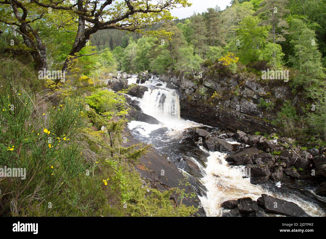Cascate di Rogie (Gaelic: EAS Rothagaidh), cascate sull'acqua Nera, fiume a Ross-shire nelle Highlands della Scozia. Foto Stock