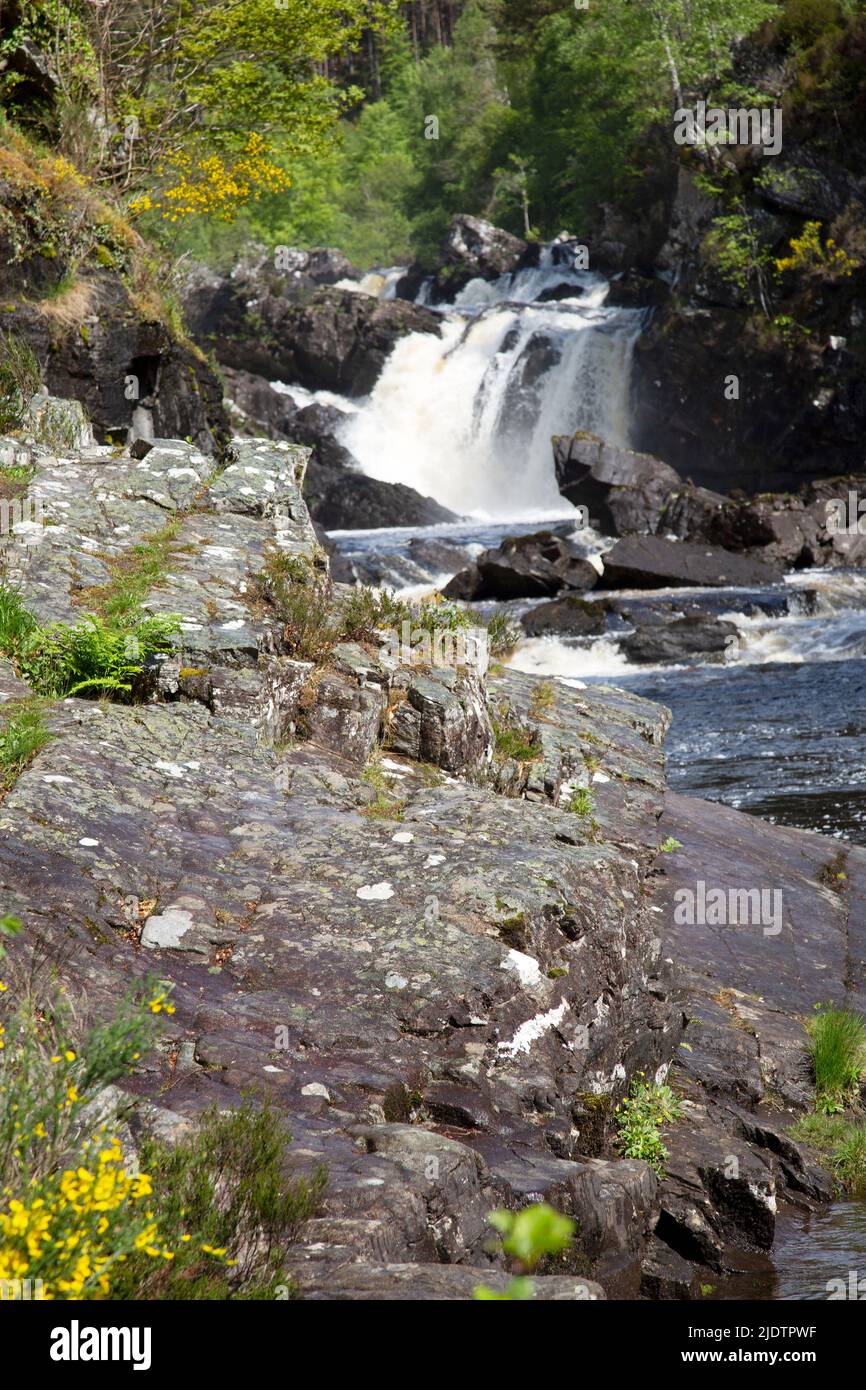 Cascate di Rogie (Gaelic: EAS Rothagaidh), cascate sull'acqua Nera, fiume a Ross-shire nelle Highlands della Scozia. Foto Stock