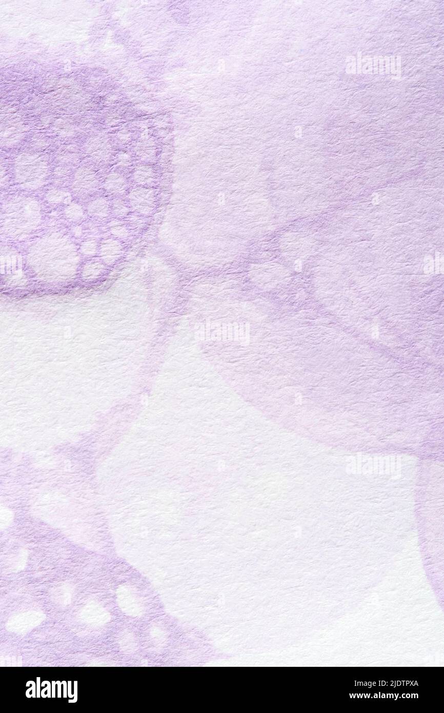 Sfondo monocromatico lilla, carta testurizzata dipinta con vernice viola pastello in una composizione organica astratta con spazio di copia. Foto Stock