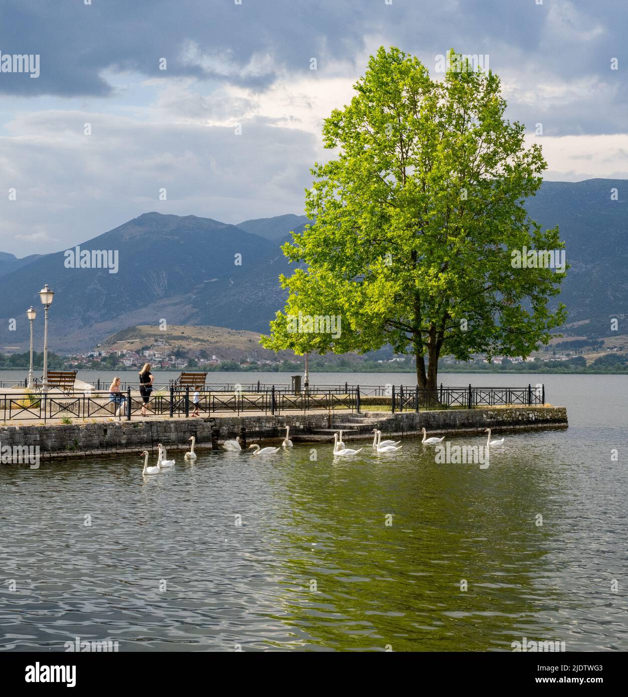 Le rive del lago Pamvotidha a Ioannina capitale dell'Epiro nella Grecia settentrionale Foto Stock