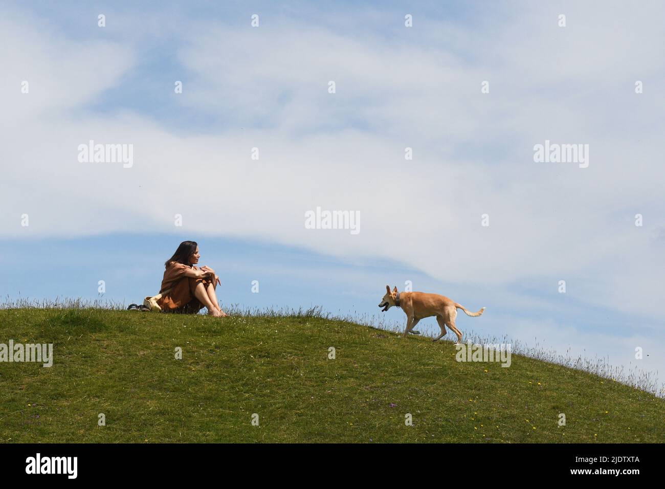 Una signora e il suo cane godendo il sole di metà estate su una collina verde nel Wiltshire. Foto Stock
