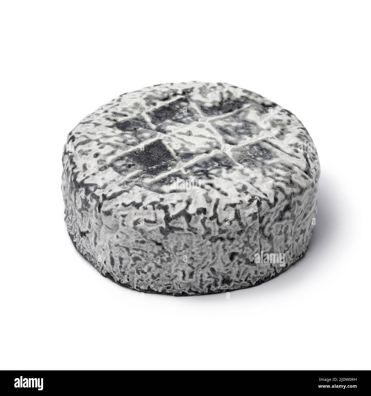 Chevre Anjou intero, formaggio di capra, con una muffa di cenere nera isolata su sfondo bianco da vicino Foto Stock