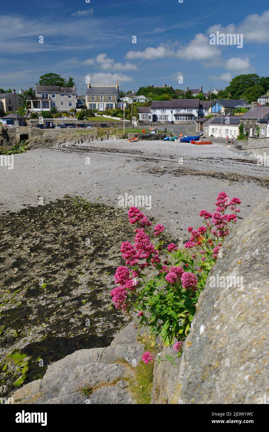 Y SWNT Cottages, Moelfre, Anglesey, Galles del Nord. Foto Stock
