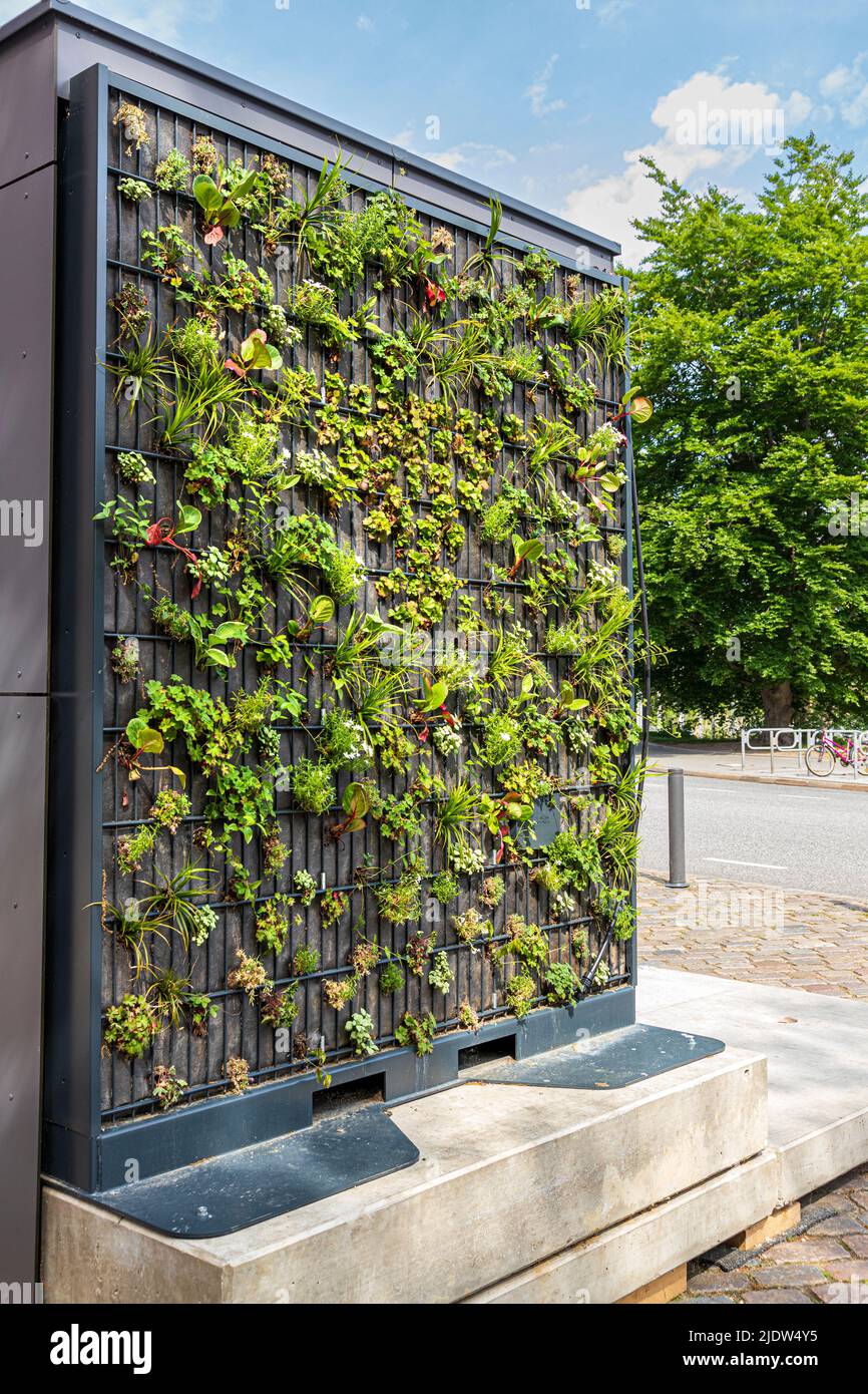 Un muro verde verticale fuori dalla Deutsche Bank di Kiel, Schleswig-Holstein, Germania Foto Stock