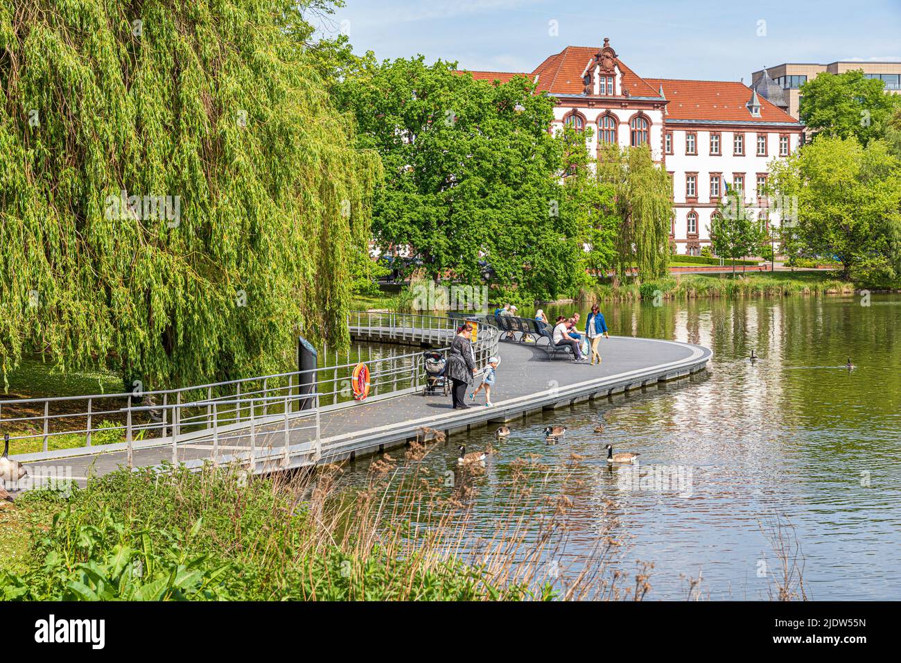 Nutrire le anatre al lago Kleiner Kiel a Kiel, Schleswig-Holstein, Germania Foto Stock