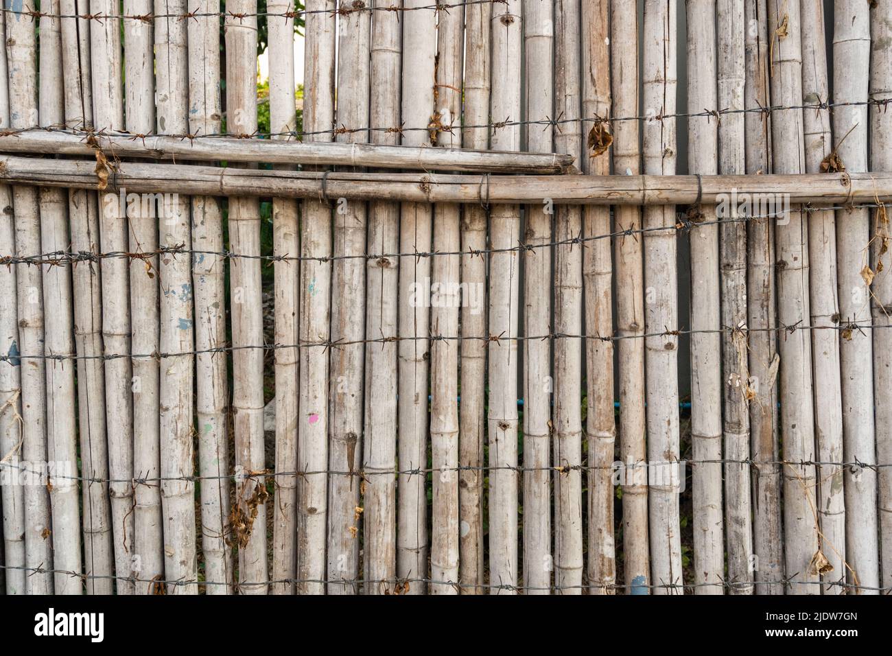 Primo piano di Una fence bianca di bambù Foto Stock
