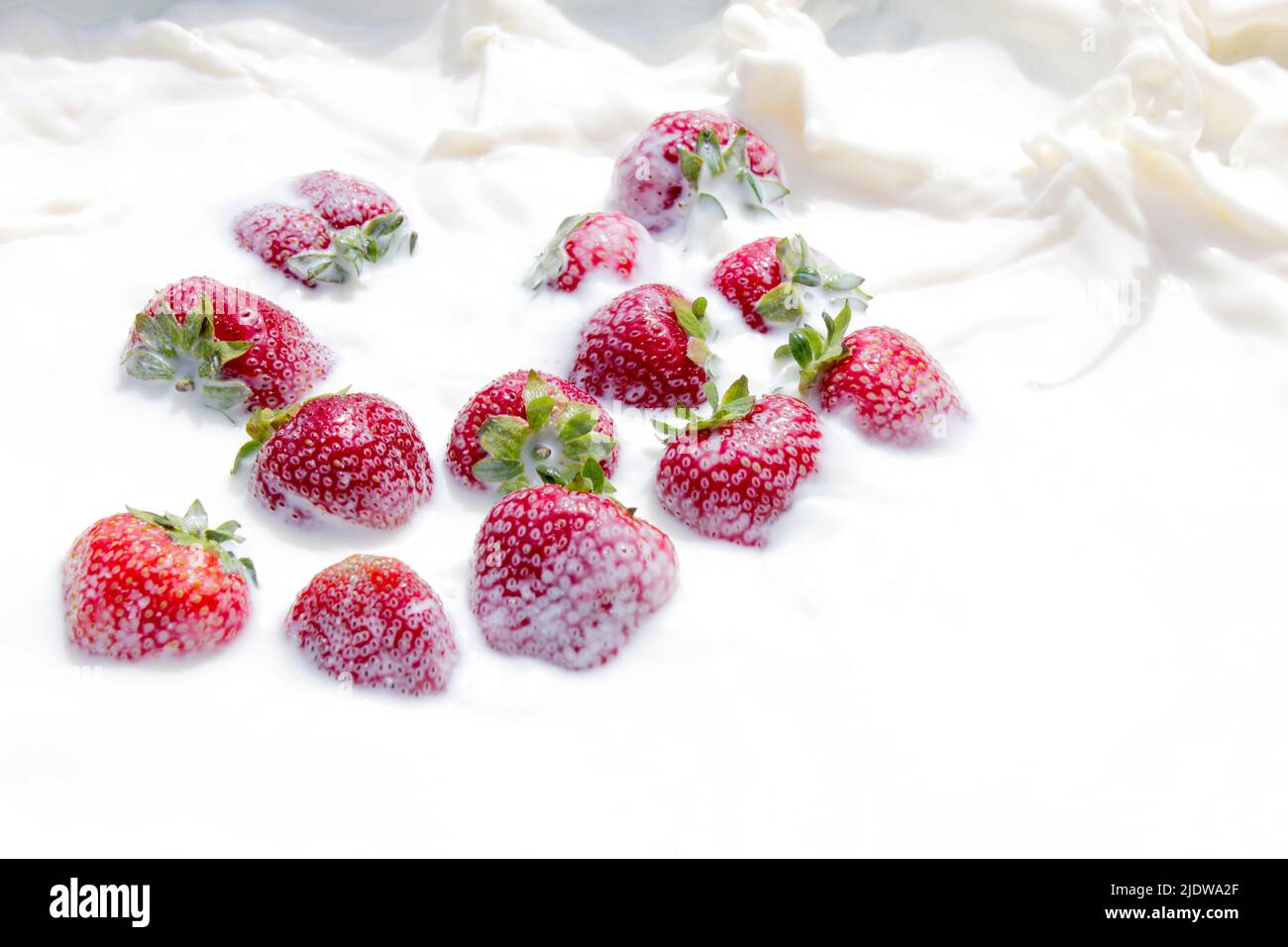 Sfondo di cibo sano. Primo piano delle fragole che galleggiano nel latte. Concetto estivo. Foto Stock