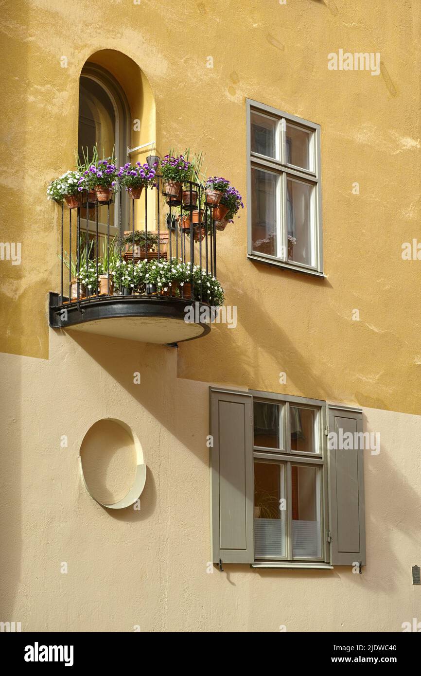 Vista delle case gialle della città di Stoccolma, Gamla Stan con fiori in vaso e piante che crescono su un balcone. Viaggi, turismo all'estero, vacanze all'estero Foto Stock