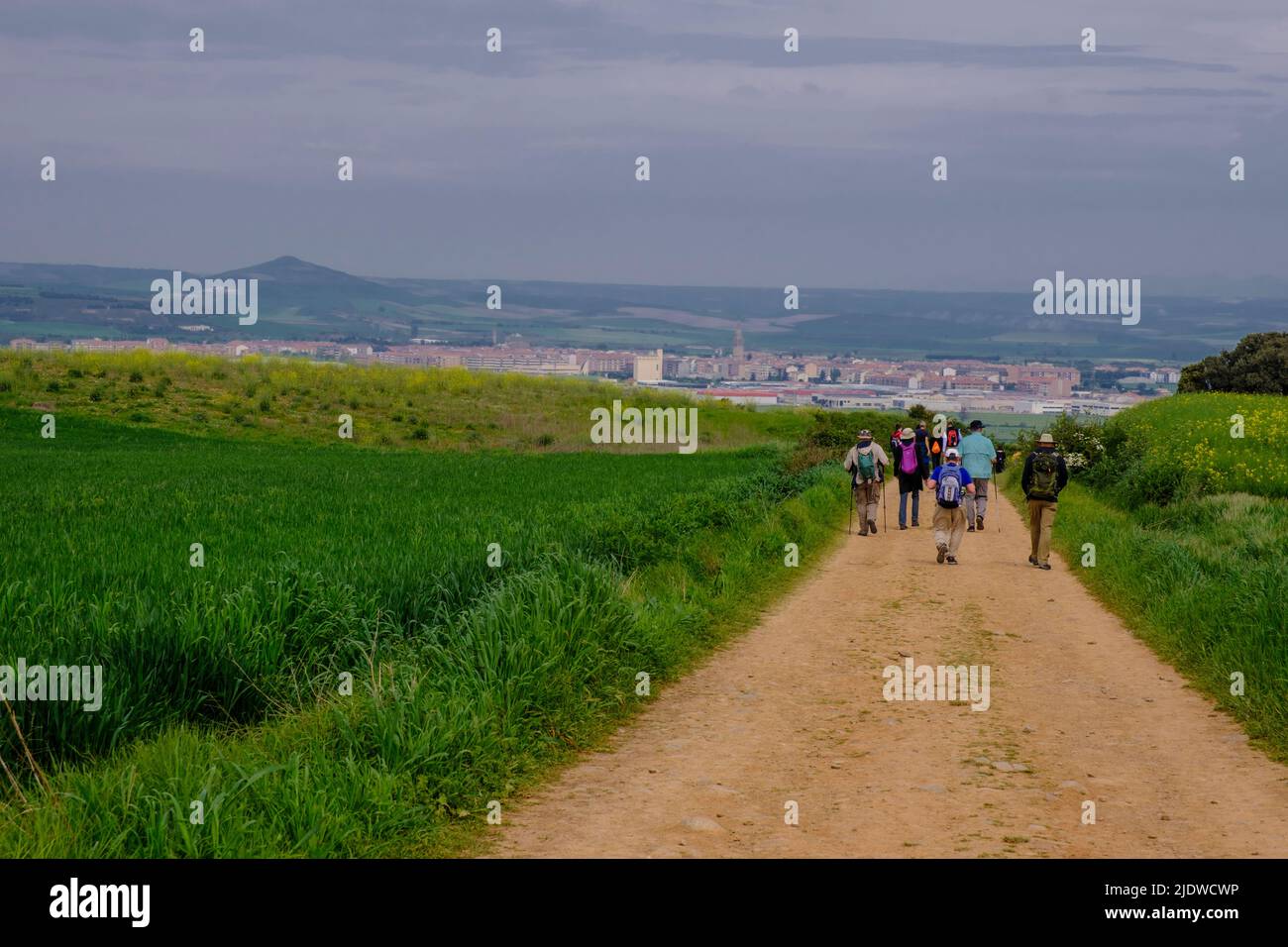Spagna, Distretto di Rioja.. Camminando sul Camino de Santiago verso Santo Domingo de la Calzada. Foto Stock