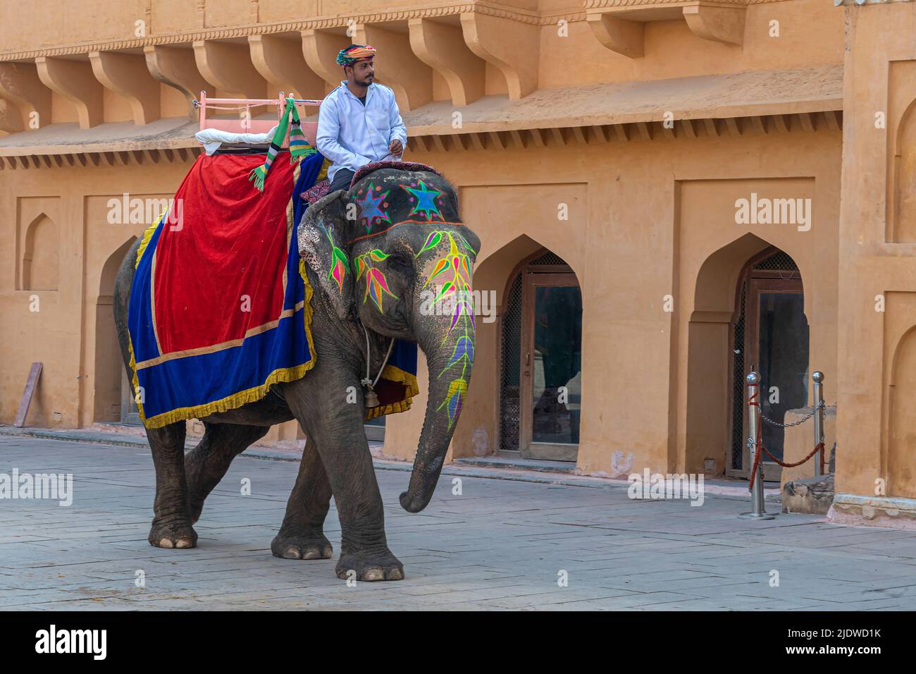 Elefante indiano decorato all'interno di Amer Fort, Jaipur, Rajasthan, India. Foto Stock