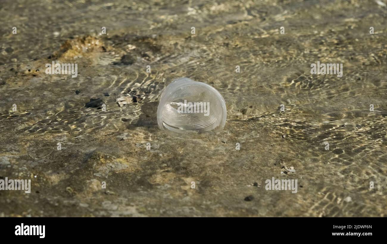 La coppa trasparente di plastica viene trasportata dal vento al mare nella zona costiera. Inquinamento plastico della zona surf. Mar Rosso, Egitto Foto Stock