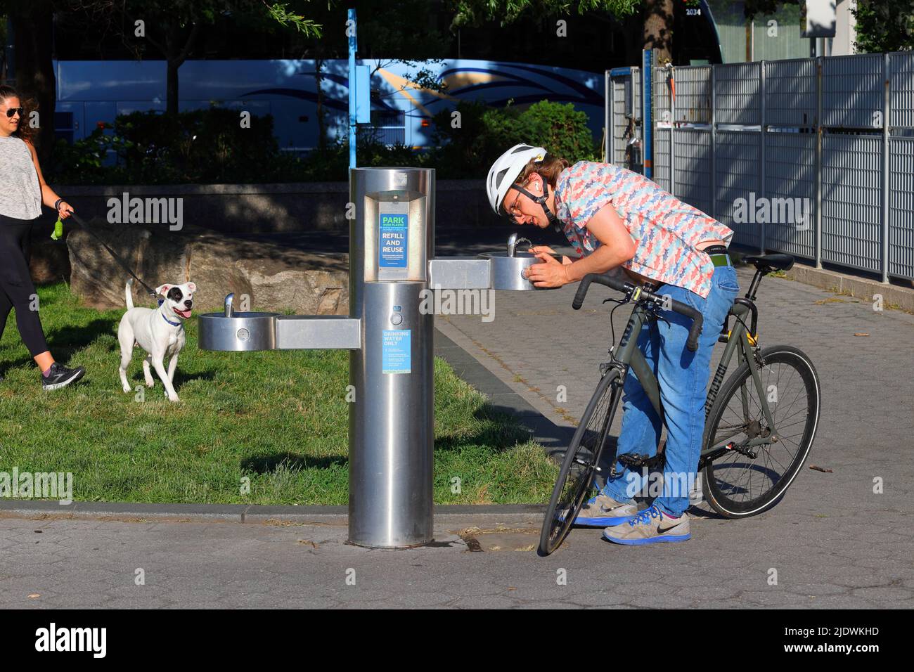 Una persona beve da una fontana d'acqua pubblica in Hudson River Park, New York City, mentre un cane assetato ansioso guarda sopra. Foto Stock